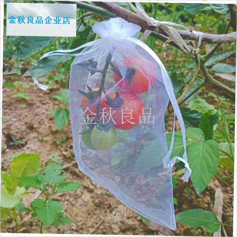 果套袋果实网f袋透气番茄番石榴蓝葡萄无花果草莓防虫防鸟保护袋.