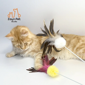 Zayn咱吖 超大真火鸡羽毛兔毛逗猫棒猫球猫玩具加长杆猫咪防滑