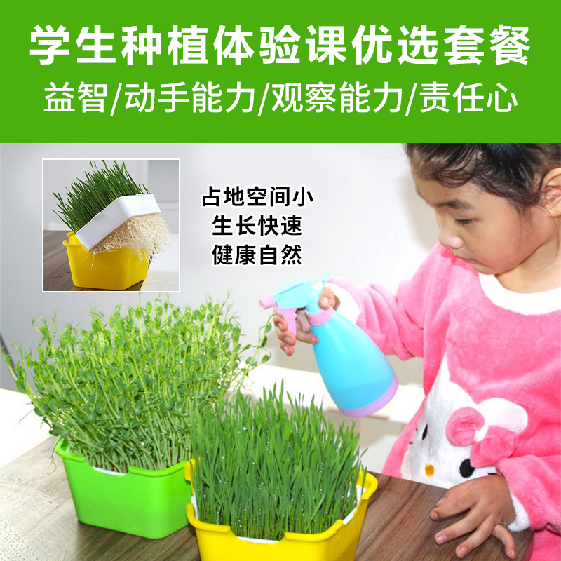 极速宝宝种菜芽苗k菜种植盆发豆芽育苗托盘无土栽培水培快速种蔬