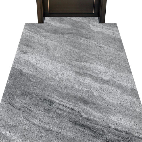 新品Entrance filoor luxury entry door mat household Internet