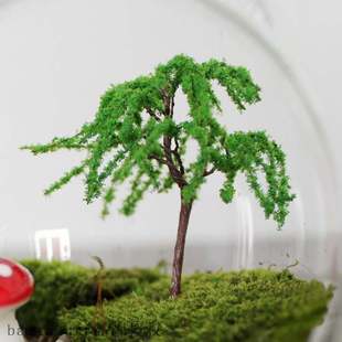 micro creative moss landscape plant 速发Succulent ornament