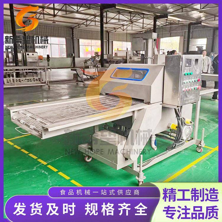 冻干草莓巧克力涂层机600型巧克力淋浆机冻干榴莲奶酪涂层机