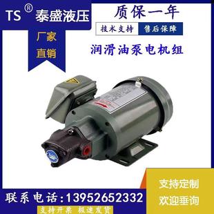 12a三角润滑泵 厂家直销摆线泵TOP 电动机油齿轮油泵380V