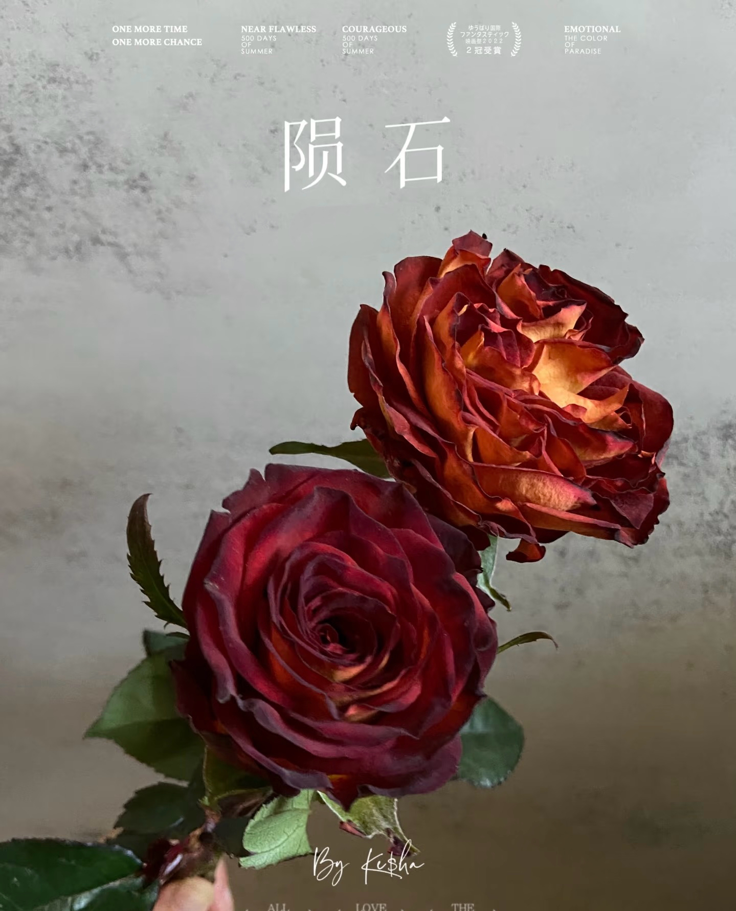 【陨石】花朵直径12厘米左右，杯状花型，复古咖啡色，