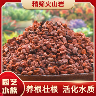 天然红火山石多肉颗粒土水草泥兰花植料铺面石鱼缸底砂滤材火山岩