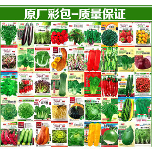 家庭蔬菜种子大全四季播种香菜生菜辣椒番茄籽孑阳台盆栽地栽农家