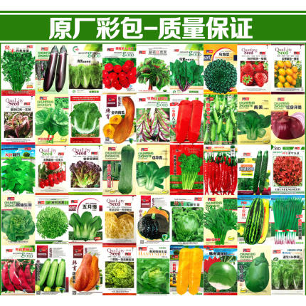 家庭蔬菜种子大全四季播种香菜生菜辣椒番茄籽孑阳台盆栽地栽农家