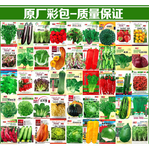 家庭蔬菜种子四季播种