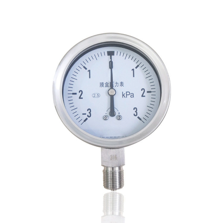 全钢膜盒压力表正负压膜盒微压表径向316低压YEB-100 -3~3KPA厂销,鲜花速递/花卉仿真/绿植园艺,其它园艺用品,淘宝优惠券,粉丝福利购,淘宝优惠卷