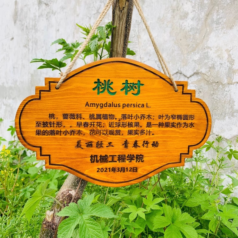 定制花草地牌树牌户外插地牌防腐实木质牌简介植物挂牌悬挂式标牌图片