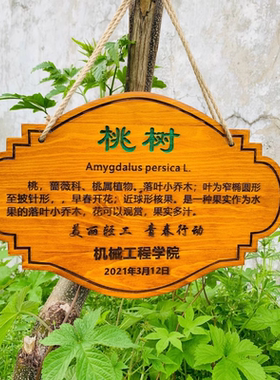 定制花草地牌树牌户外插地牌防腐实木质牌简介植物挂牌悬挂式标牌