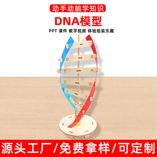 DNA模型儿童科学小实验套装小学生科技小制作stem手工玩具材料包