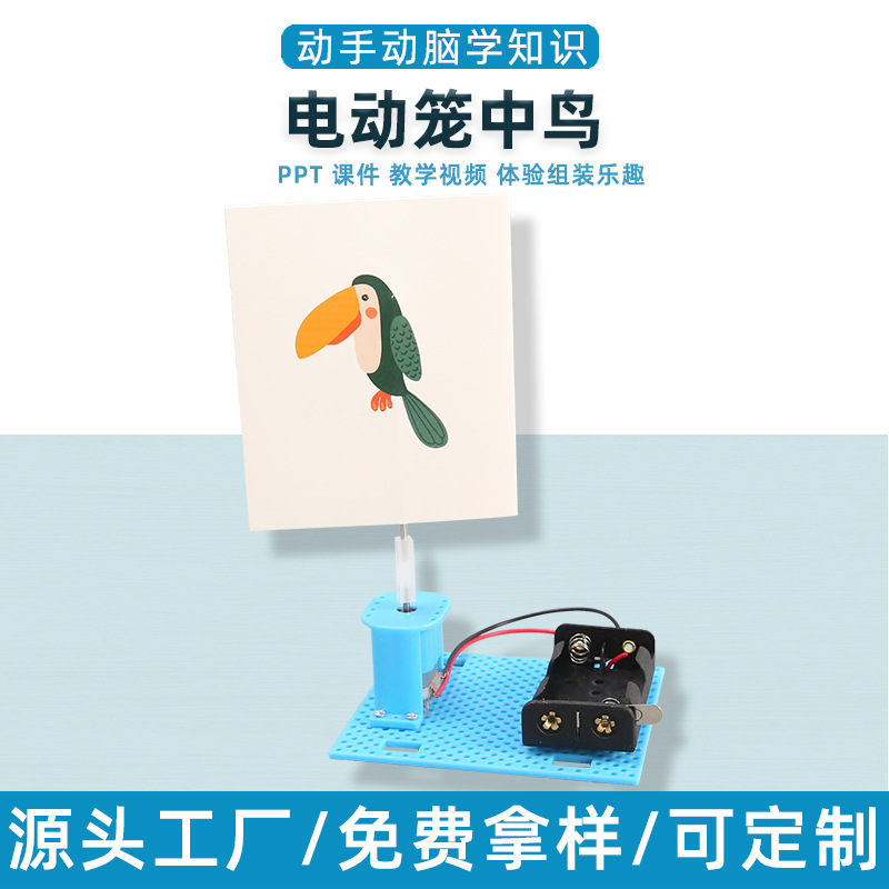 学生diy自制科技小制作视觉停留电动笼中鸟科学实验儿童益智教具