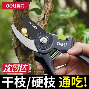 得力修剪树枝剪刀修枝剪果树剪枝专用园林花卉剪子花艺剪园艺剪刀