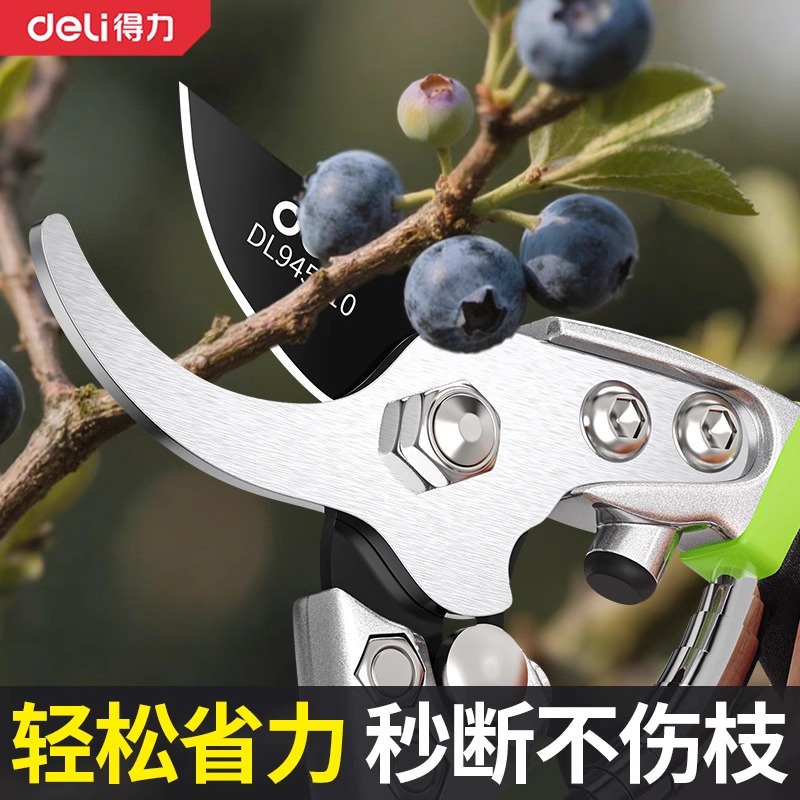 全新上市，无一人差评！！！！