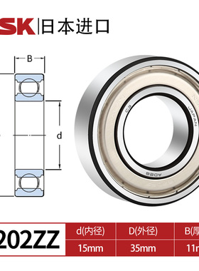 NSK进口6200 6201 6202 6203 6204 6205 62O06 ZZ DDU RS 轴承