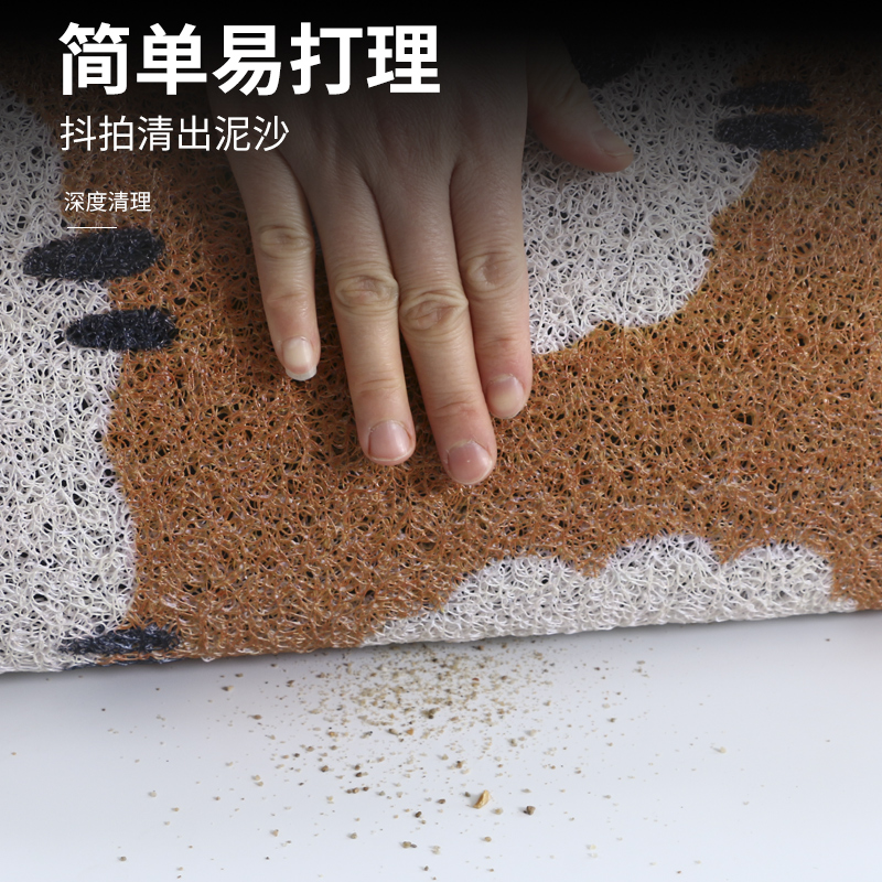 极速真彩地垫入i户门垫门口进门家用防滑垫子可爱丝圈地毯除尘蹭