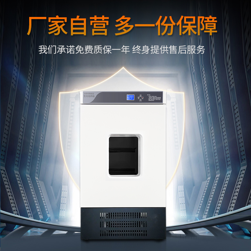 速发霉菌培养箱 恒温恒湿培养箱 生化培养箱 生化霉菌培养箱BOD培