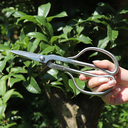 极速盆景不锈钢叶芽昌p国盆景剪刀插花剪小枝叶剪修枝剪盆景造型