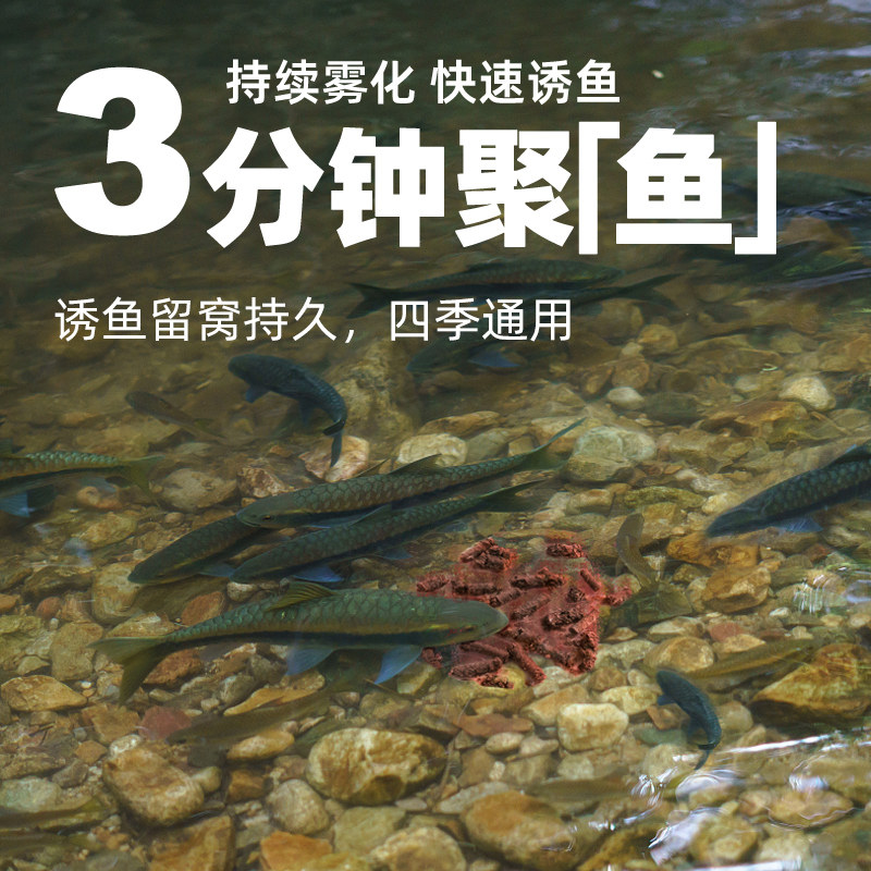 新品溪流钓打窝料大颗粒石斑鱼鲫鱼马口白条M溪哥小鱼野钓专用饵