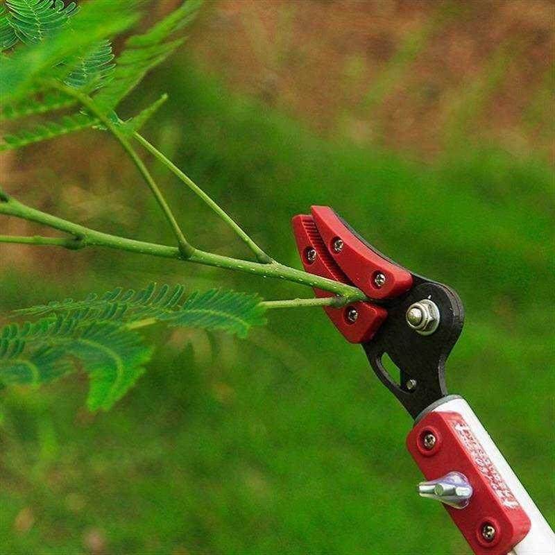 极速高枝剪伸缩高空剪搞果剪3米采果锯摘果剪修枝剪Y树枝剪农用采