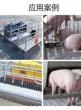 新品猪用漏粪板母猪产床配件仔猪保育床鸡牛羊兽用塑料Z接粪板猪