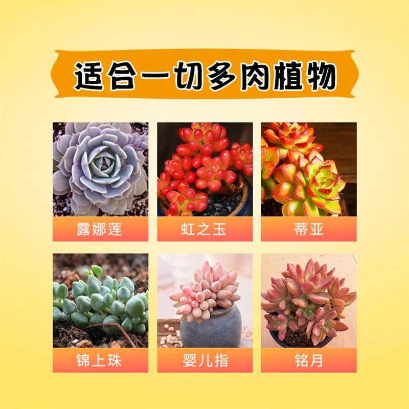 极速耕芭优c芽素多肉专用叶插促芽爆芽催芽家用养花肥料老桩植