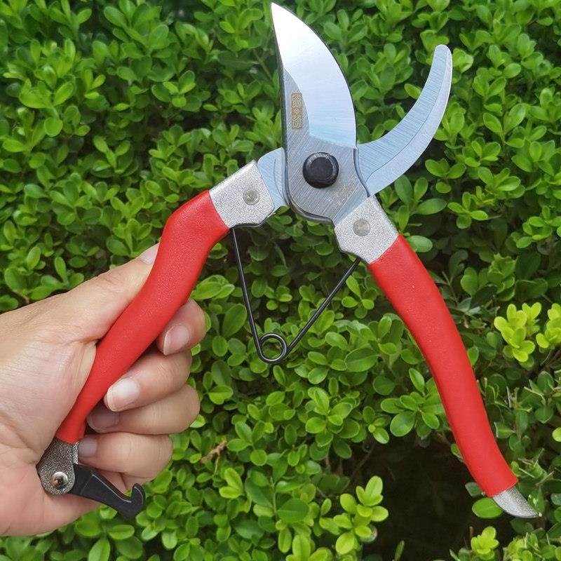 极速森川太郎gSK-5修枝剪 园林剪刀工具修枝剪园艺剪果树剪手枝剪