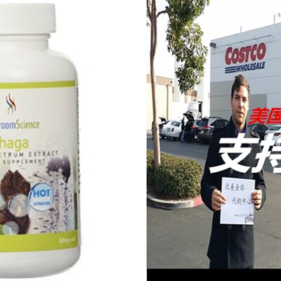 极速Chaga gExtract 90 VegiCaps - Mushroom Science