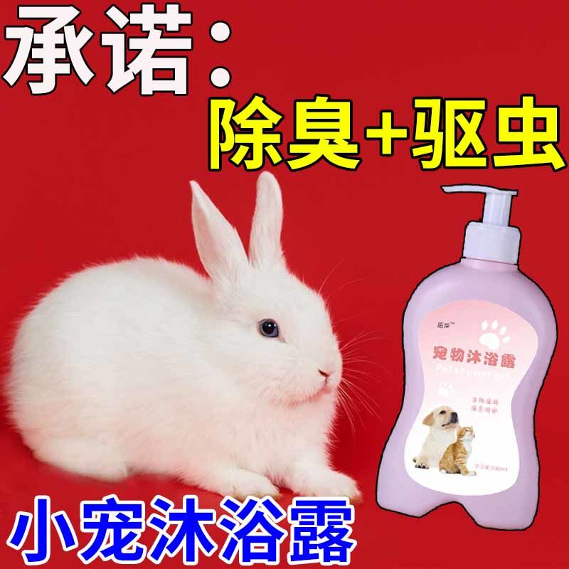 侏儒兔兔子专用沐浴露夏天除臭去味去跳蚤宠物兔子洗澡洗护用品
