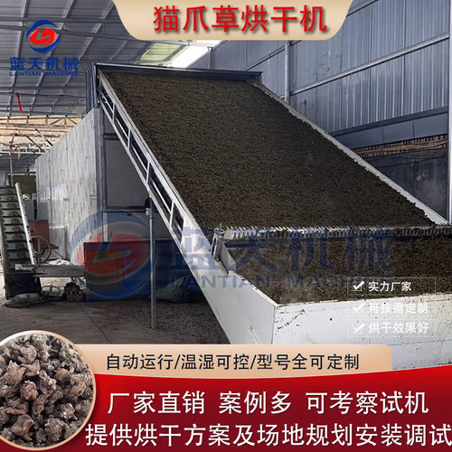 猫爪草烘干机 大型苜蓿草三散草链条传送干燥机 猫爪草烘干流水线