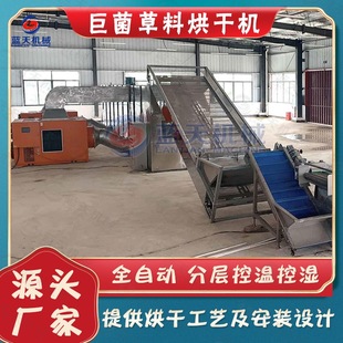 牧草料干燥机大型 连续式皇竹草巨象草烘干设备 网带巨菌草烘干机