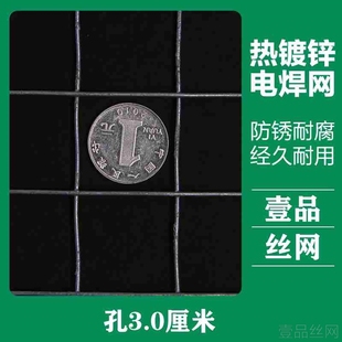 镀锌铁丝网围栏养殖网户外加粗拦鸡鸭鼠网格小孔家用鸡笼子钢丝网