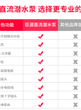 臣源直流潜水泵小型12V24V48V60伏 电动车电瓶水泵车高扬程抽水泵