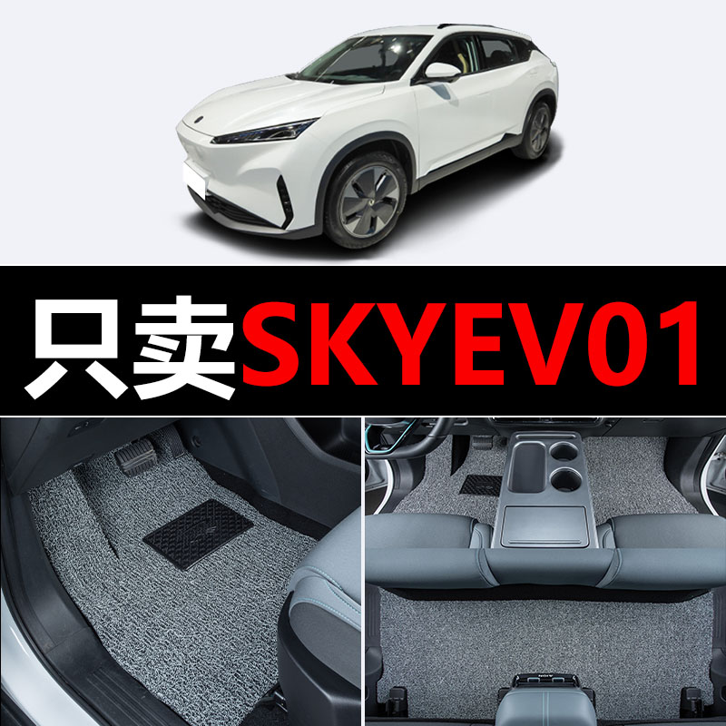 适用于东风风神SKY EV01汽车脚垫2023/2024年款丝圈地垫地毯用品