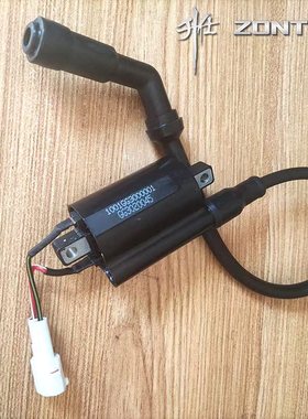 适用升仕ZT310-kV X T R1 2摩托车高压包 点火线圈 高压帽火花塞