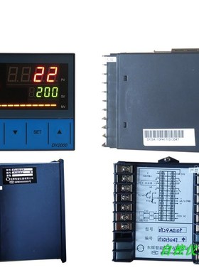 东辉仪表a DY21AI06P DY21AI10P DY29AI06P DY29AI16P DY29AI02