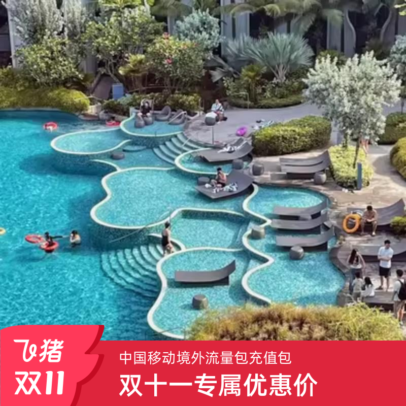 中国移动新加坡流量包