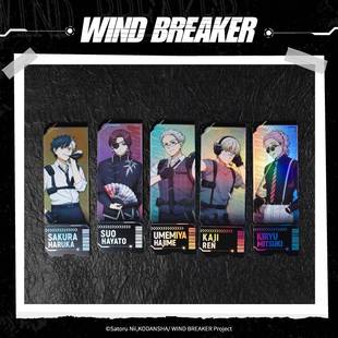 特工系列盲抽镭射票 喵喵预订 防风铃 BREAKER 周边 WIND