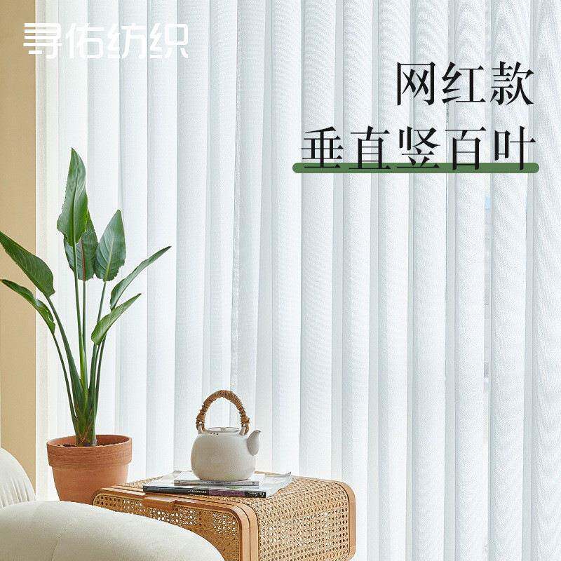 爆款梦幻帘竖百叶纱帘窗纱日式透光不透人竖条纹遮光纱帘客厅柯桥