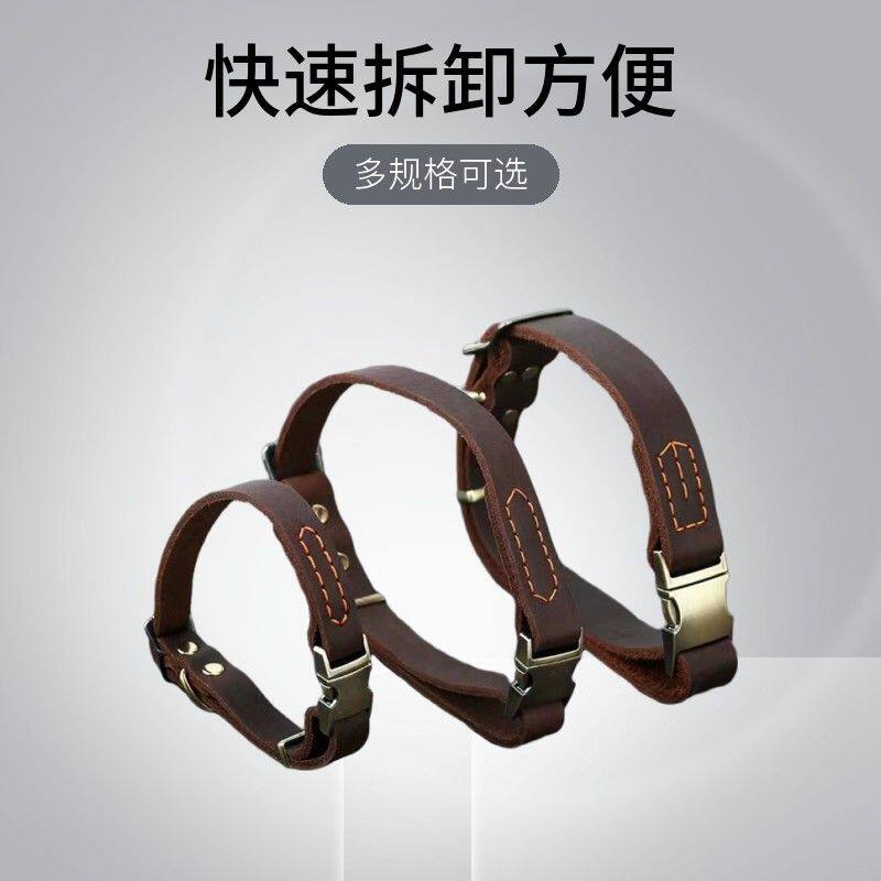 精品狗狗牛皮多规格脖圈金属快插口真皮宠物项圈马犬