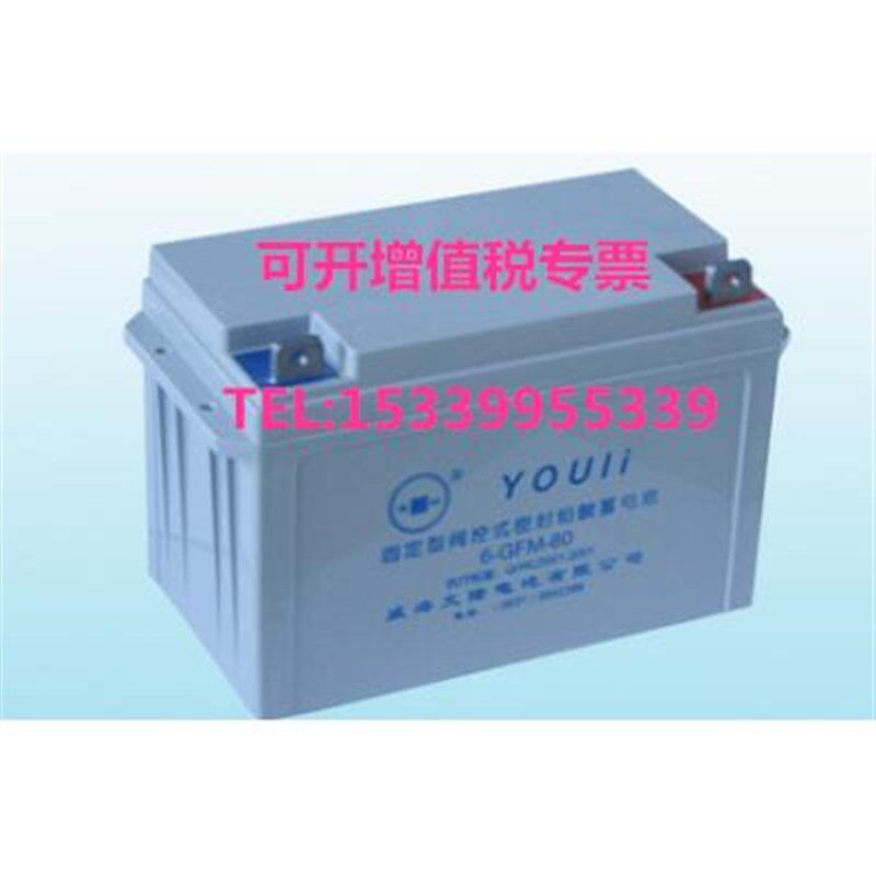 文隆youli有利蓄电池6-GFM-80阀控铅酸免维护电源12V80AWH/UPS设