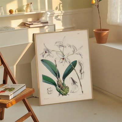 博物馆挂画 绿色植物类合集装饰画C 新中式南洋风民宿文艺小清新