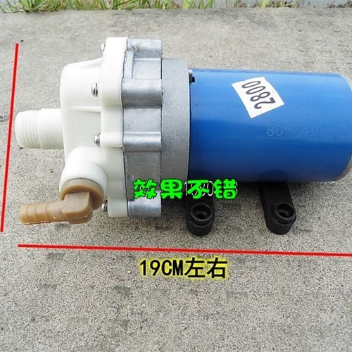 12V2800直流洗车泵/电动喷雾器打G药机/刷车器隔膜泵自吸灌溉水泵