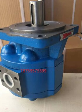 CBGFa20m63-B1L四川长江齿轮泵 油泵