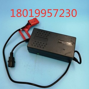 电动堆高a机西林如意小锂锂电充电机充电器DZL480602 V01AC220V