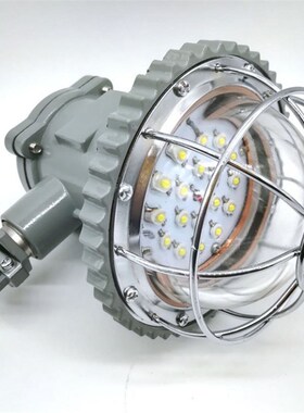 诚意销售巷道灯 安装简单 矿用巷道灯价B格 DGS20/127L(A)巷道灯