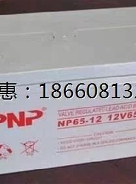 PNP蓄电池NP12V7/9/12/1u7/24/38/65/100/120/150AH铅酸免维护机