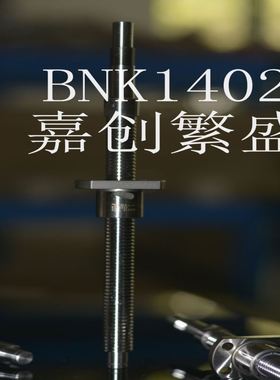THK滚珠丝杆 BNK1402-3RRG2+316LC7Y BNK1402-3RRG0+316LC5Y
