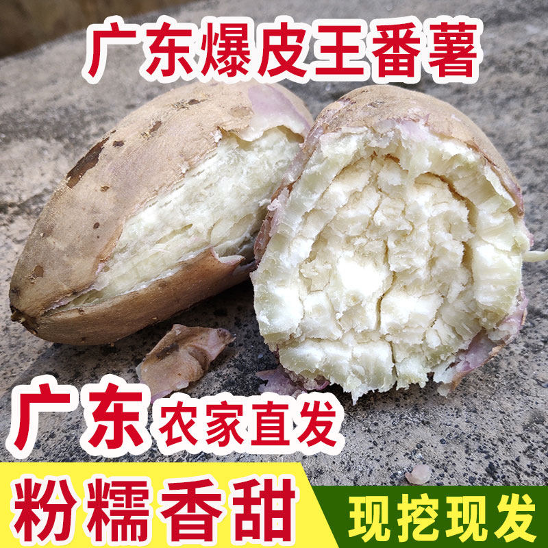 高州爆皮王番薯新鲜沙地粉糯香甜广东当季白心板栗红薯干面地瓜
